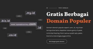 Cara Mendapatkan Domain Gratis Terbaru 2024