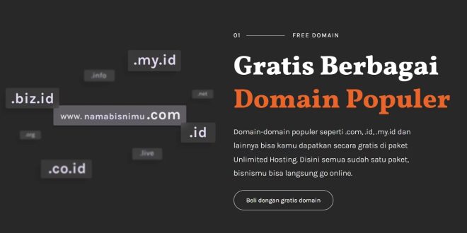 Cara Mendapatkan Domain Gratis Terbaru 2024