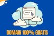 Cara Mendapatkan Domain Name Gratis