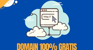 Cara Mendapatkan Domain Name Gratis